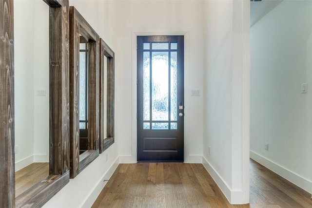 entrance foyer featuring plenty of natural light, baseboards, and wood finished floors