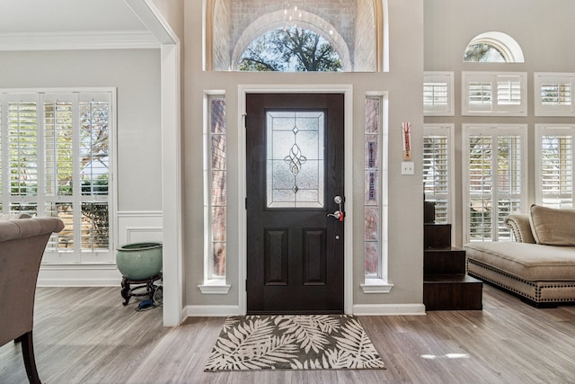 entryway with crown molding, a high ceiling, and wood finished floors