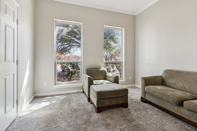 5505 Lomita Cir, Plano, TX 75023 - living area featuring crown molding, carpet, and baseboards