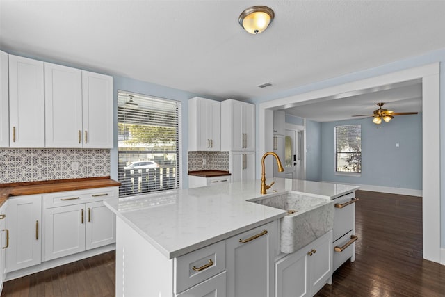 kitchen featuring dark wood-style floors, tasteful backsplash, an island with sink, and a sink