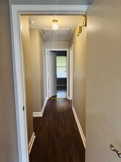 corridor with attic access, baseboards, and wood finished floors