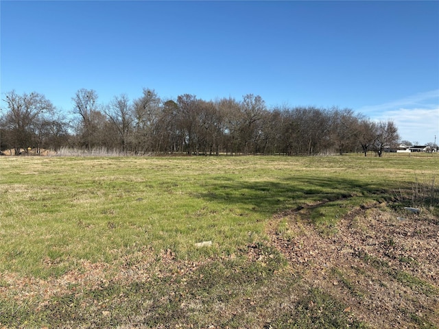 view of yard with a rural view