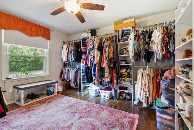 spacious closet with ceiling fan and wood finished floors