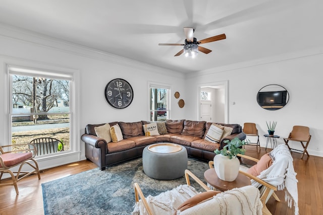 living room with ceiling fan, ornamental molding, a wealth of natural light, and wood finished floors