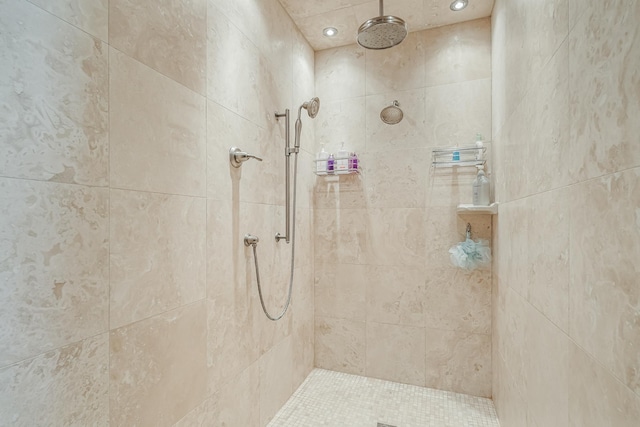 310 County Road 336 Unit B, Tuscola, TX 79562 - full bath with recessed lighting and tiled shower