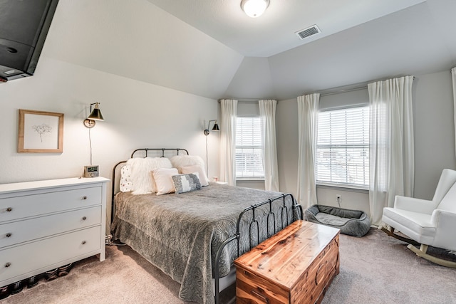425 Brook Meadow Dr, Midlothian, TX 76065 - bedroom with light colored carpet and vaulted ceiling