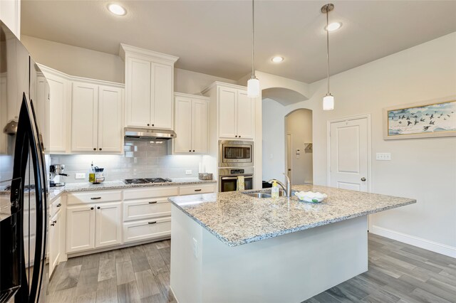 2101 Bishop Barrel Ln, Wylie, TX 75098 - kitchen featuring appliances with stainless steel finishes, arched walkways, a sink, under cabinet range hood, and light wood-type flooring