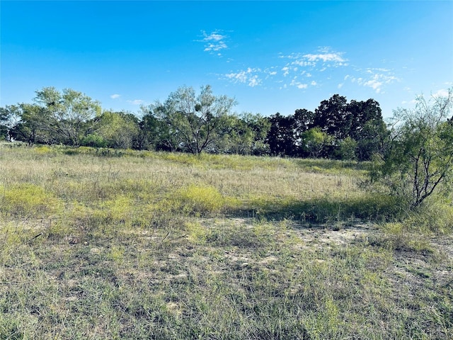 Listing photo 3 for 217 County Road 255, Rising Star TX 76471