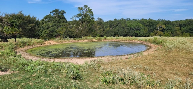 property view of water with a view of trees