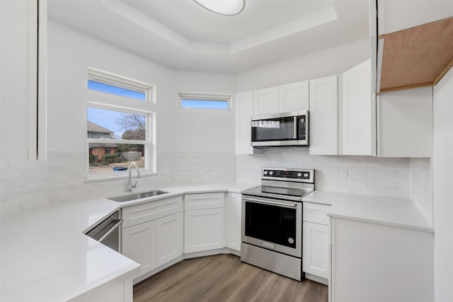 kitchen featuring light wood-type flooring, a tray ceiling, stainless steel appliances, and a sink