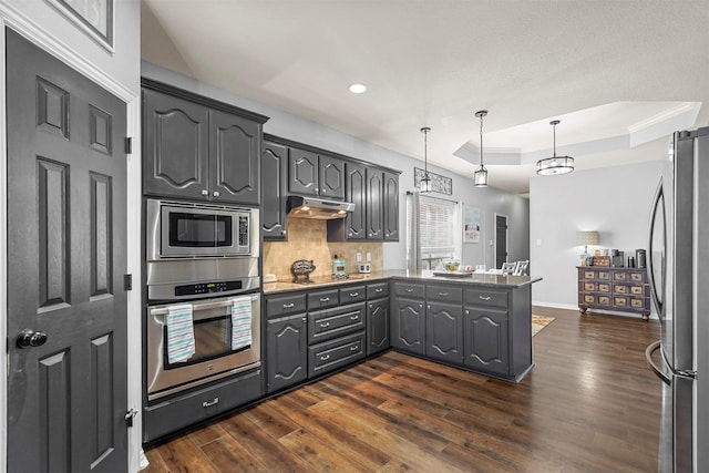 kitchen with under cabinet range hood, a peninsula, appliances with stainless steel finishes, dark wood-style floors, and a tray ceiling