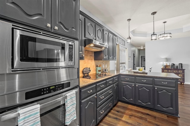 kitchen featuring dark wood-style flooring, stainless steel appliances, a raised ceiling, backsplash, and under cabinet range hood