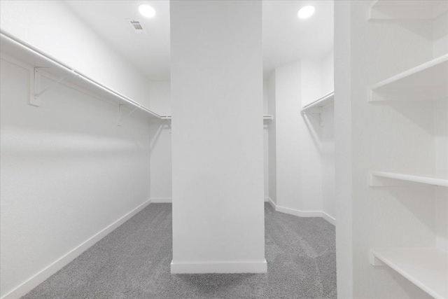 spacious closet with carpet floors and visible vents