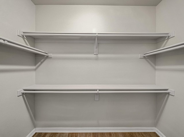 spacious closet featuring wood finished floors