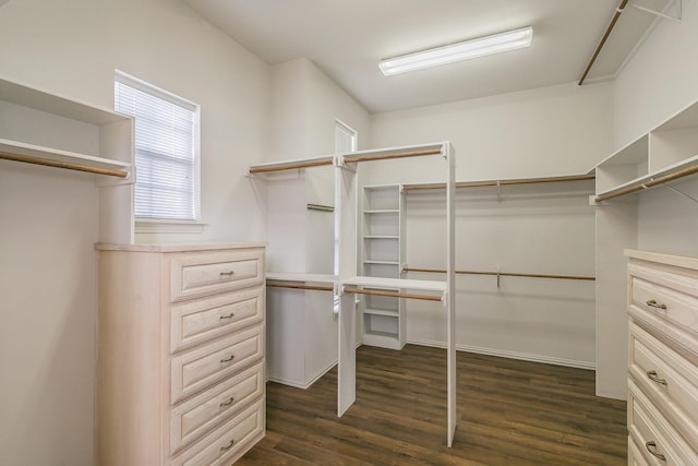128 Oakview Dr, Hudson Oaks, TX 76087 - spacious closet with dark wood finished floors