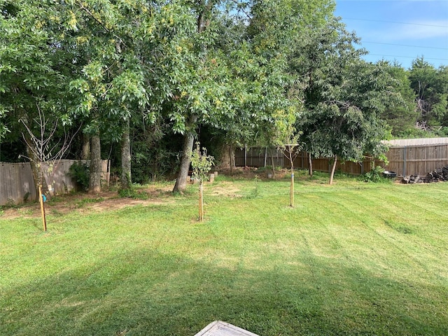 view of yard with a fenced backyard