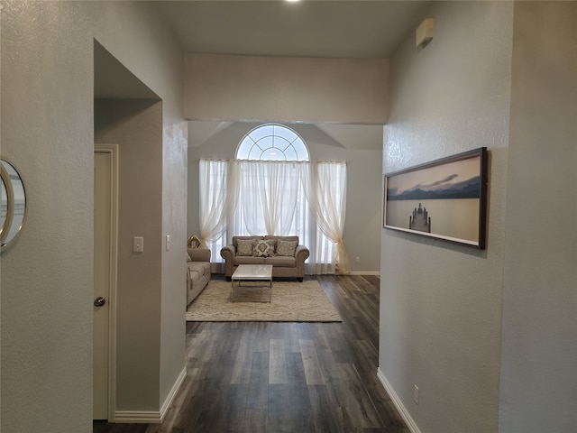 hall featuring dark wood-type flooring and baseboards