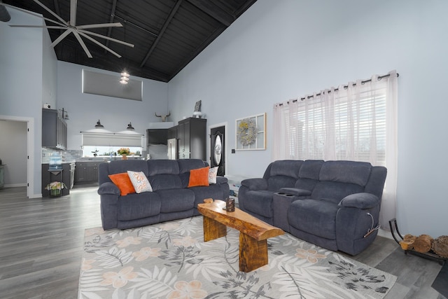 living area featuring high vaulted ceiling and wood finished floors