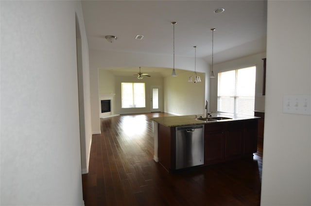 kitchen with a wealth of natural light, dishwasher, dark wood-type flooring, a fireplace, and a sink