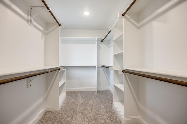 spacious closet featuring light colored carpet