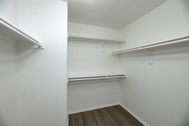 spacious closet with dark wood finished floors