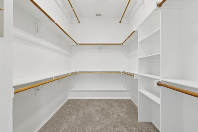 walk in closet with carpet flooring