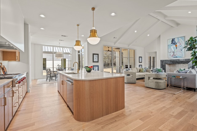 kitchen with light wood finished floors, appliances with stainless steel finishes, open floor plan, and a sink