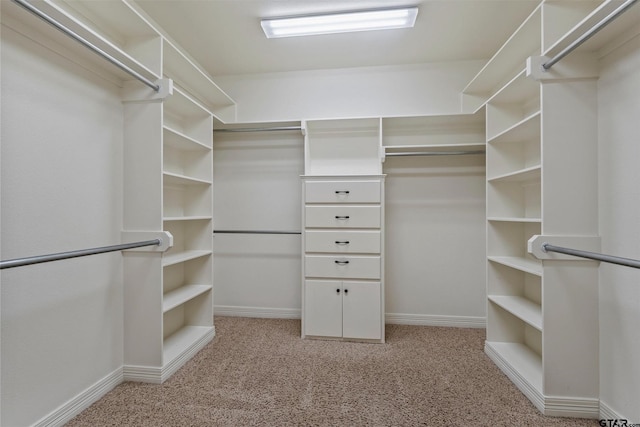 walk in closet with carpet floors