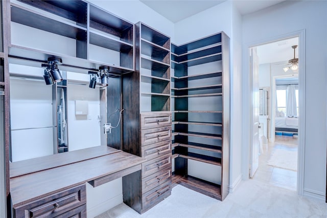 walk in closet with ceiling fan, light colored carpet, and built in study area