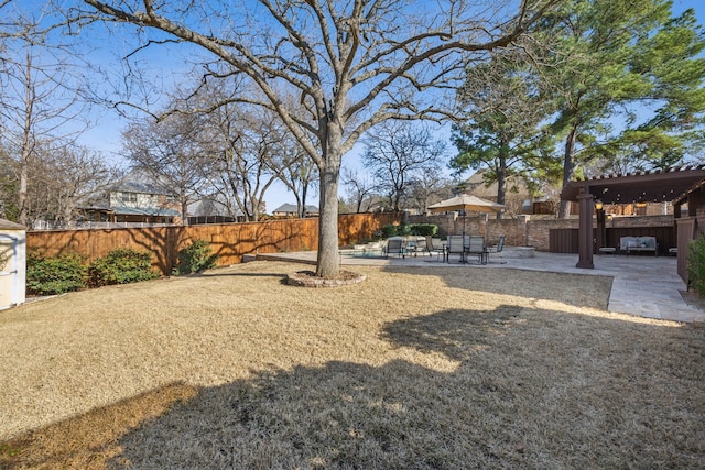 view of yard with a patio area and a fenced backyard