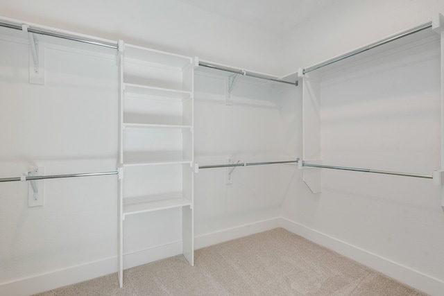 spacious closet with light carpet