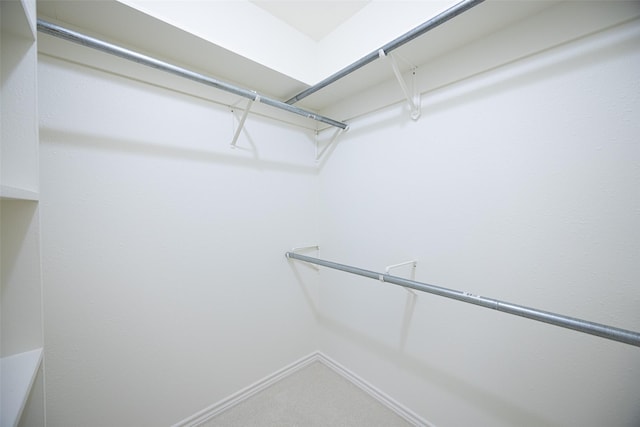 view of walk in closet