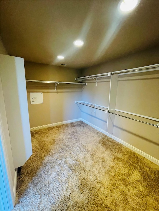 walk in closet with carpet floors