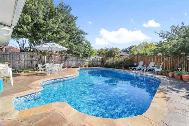 view of pool with a fenced backyard, a fenced in pool, and a patio