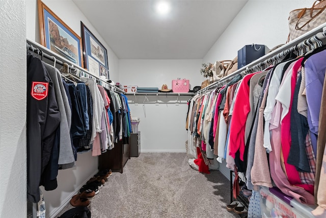 6116 Pathfinder Trl, Fort Worth, TX 76179 - walk in closet with carpet flooring
