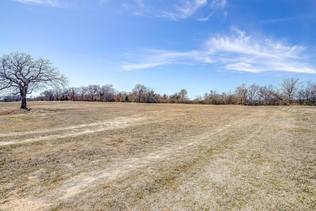 view of yard with a rural view