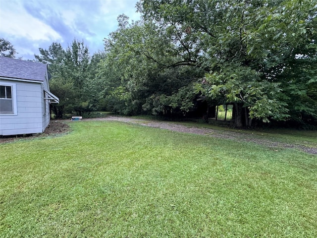 view of yard featuring driveway