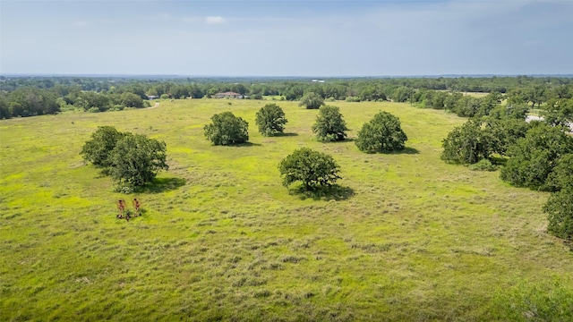 TBD Highway 77 S, Giddings, TX 78942