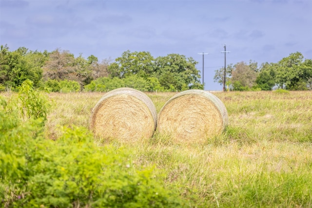 TBD Highway 77 S, Giddings, TX 78942