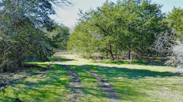 Listing photo 3 for TBD Highway 77 S, Giddings TX 78942