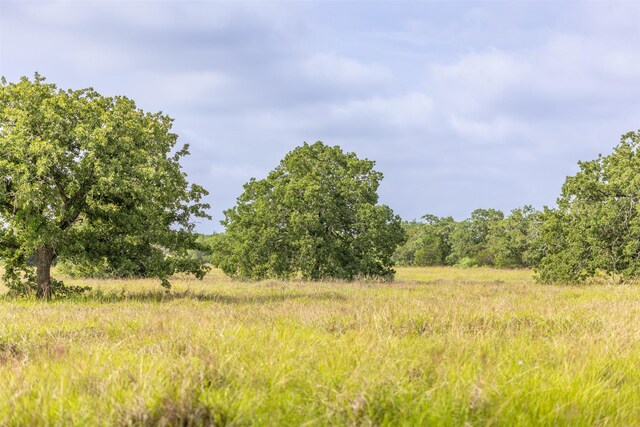 TBD Highway 77 S, Giddings, TX 78942