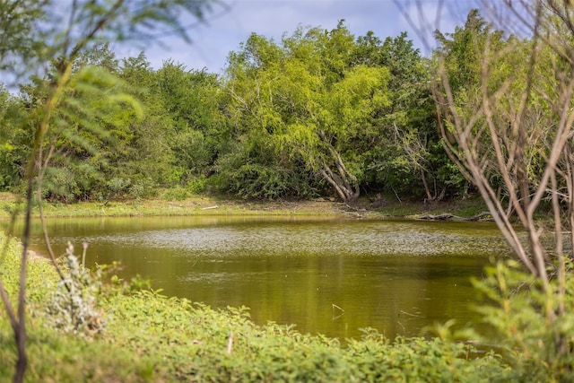TBD Highway 77 S, Giddings, TX 78942