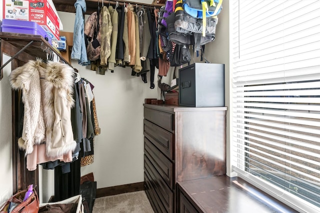 view of spacious closet