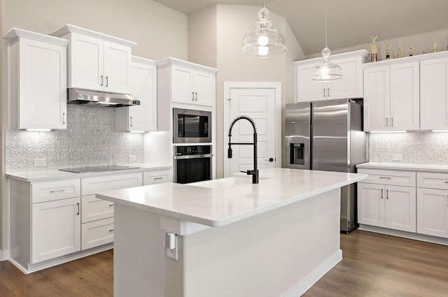 kitchen featuring under cabinet range hood, stainless steel appliances, dark wood-style flooring, a sink, and white cabinets