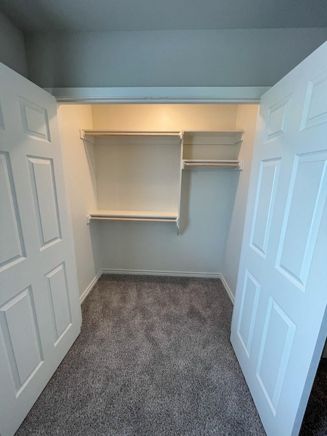 view of closet