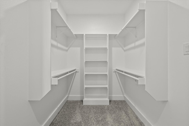 walk in closet with carpet floors