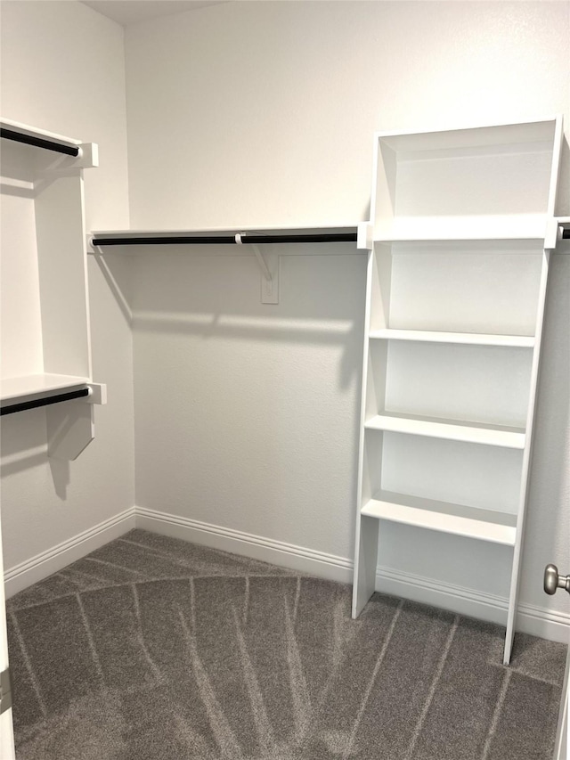 spacious closet featuring carpet