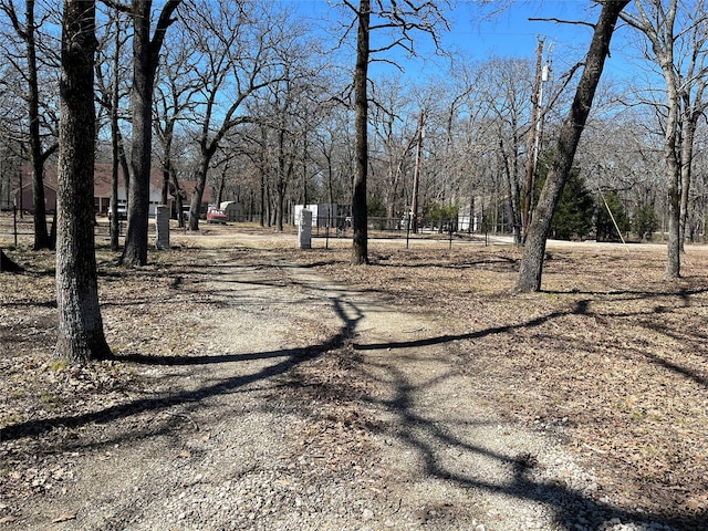 view of street with driveway