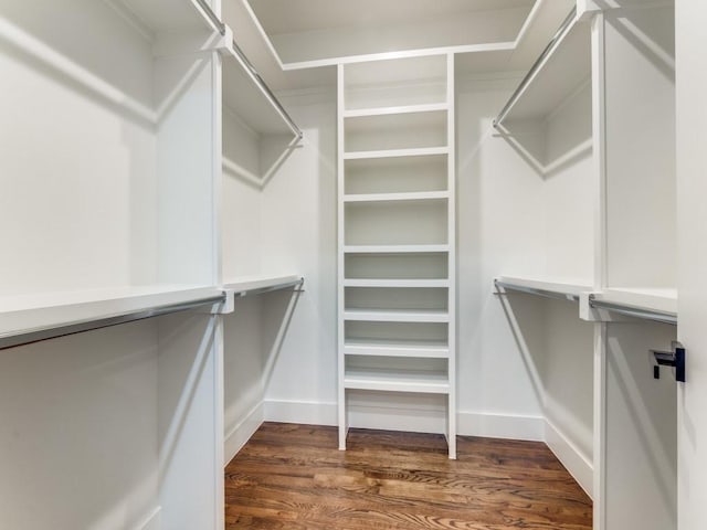 walk in closet featuring dark wood-style floors