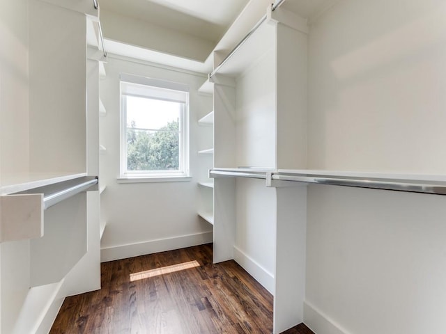 spacious closet featuring wood finished floors